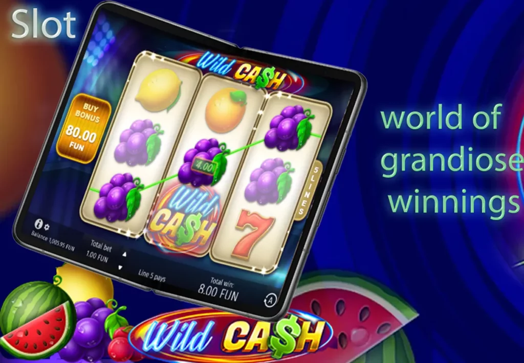 Payouts in Wild Cash follow straightforward